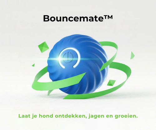 Bouncemate™ | De slimme speel- & verrijkingsbal voor honden