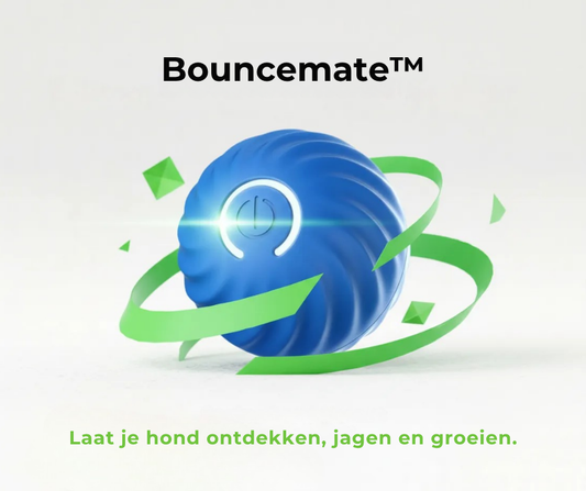 Bouncemate™ | De slimme speel- & verrijkingsbal voor honden